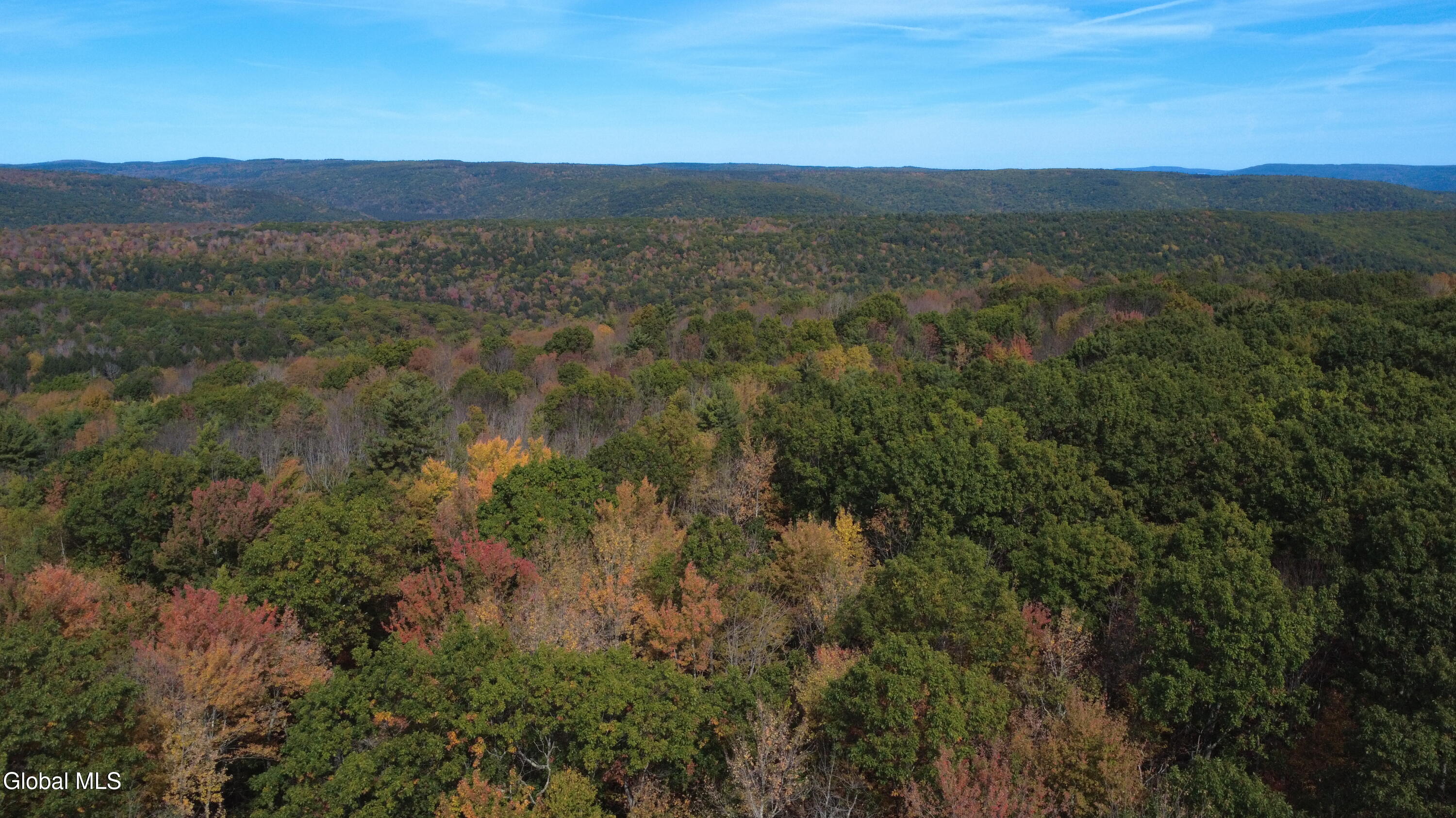 L1 Welch Road Jefferson, NY 12093 - Photo 6 of 15 DJI_0177