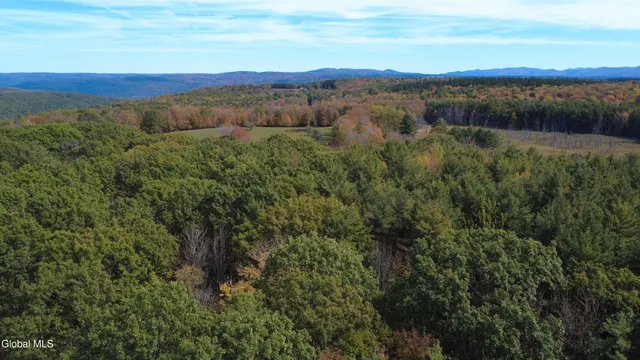 $99,000 | L1 Welch Road, Jefferson, NY 12093