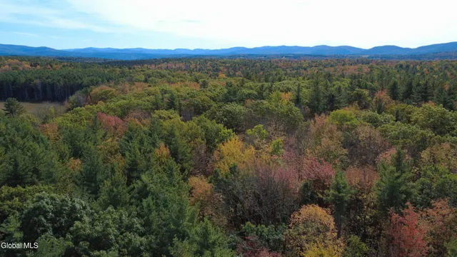 $99,000 | L1 Welch Road, Jefferson, NY 12093