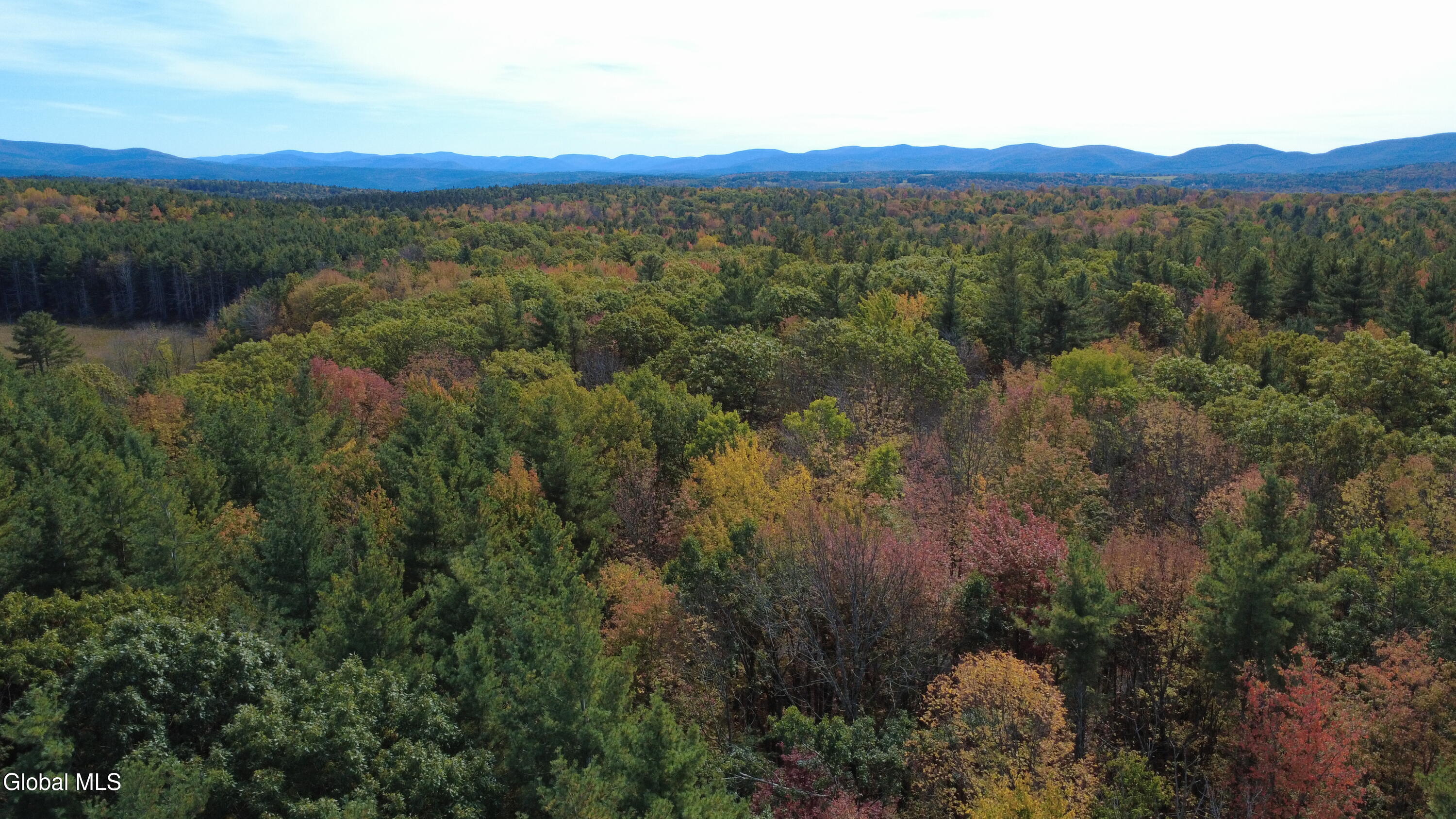 L1 Welch Road Jefferson, NY 12093 - Photo 8 of 15 DJI_0179