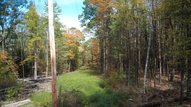 $99,000 | L1 Welch Road, Jefferson, NY 12093