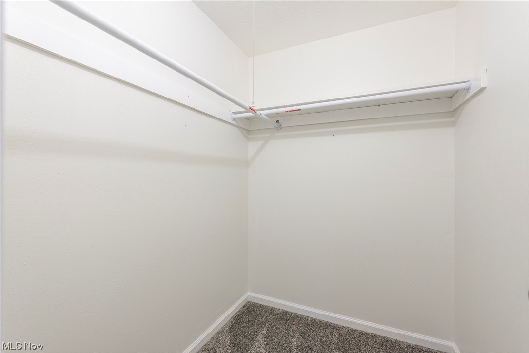 896 Beechers Brook Road Cleveland, OH 44143 - Photo 25 of 35 Walk in closet featuring dark colored carpet