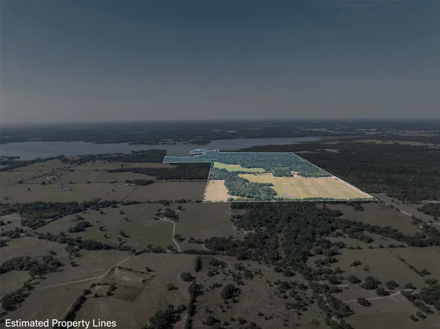 a view of a lush green outdoor space with a mountain