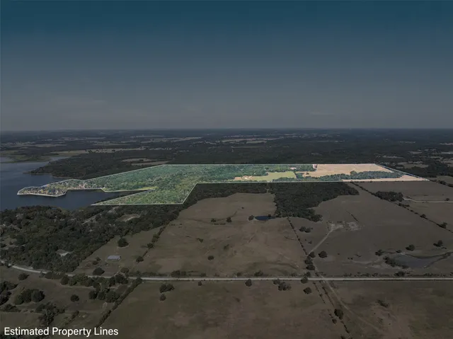 a view of a yard with large trees