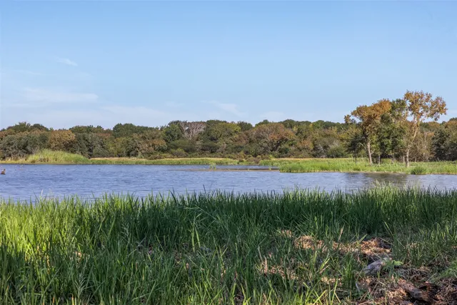 a view of outdoor space with trees
