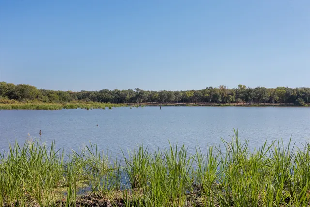 a view of a field with trees in background