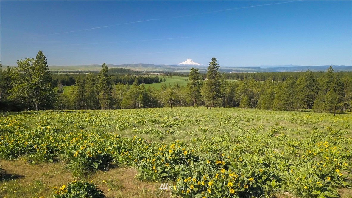 752 Pine Forest Road Goldendale, WA 98620 - Photo 5 of 25 Gallery Image 5