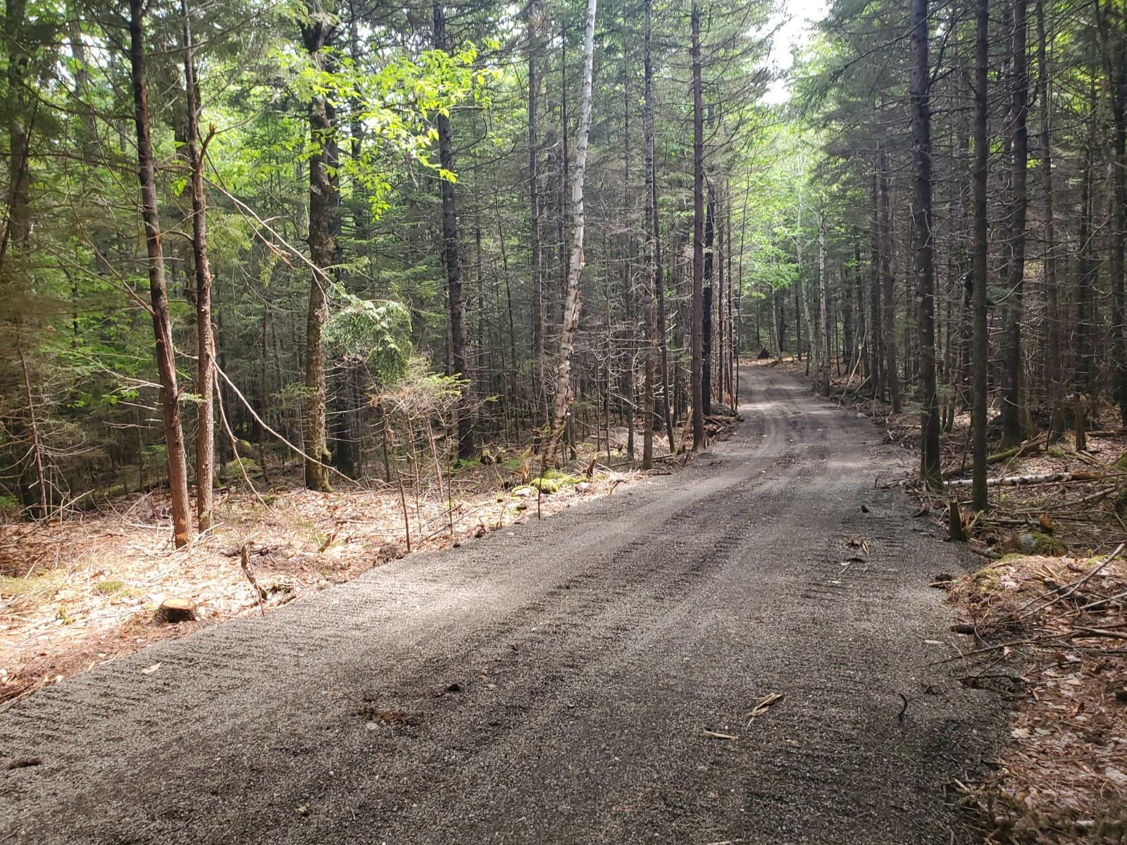 Lot # Carlow Road Wesley, ME 04686 - Photo 2 of 5 20210604_133520