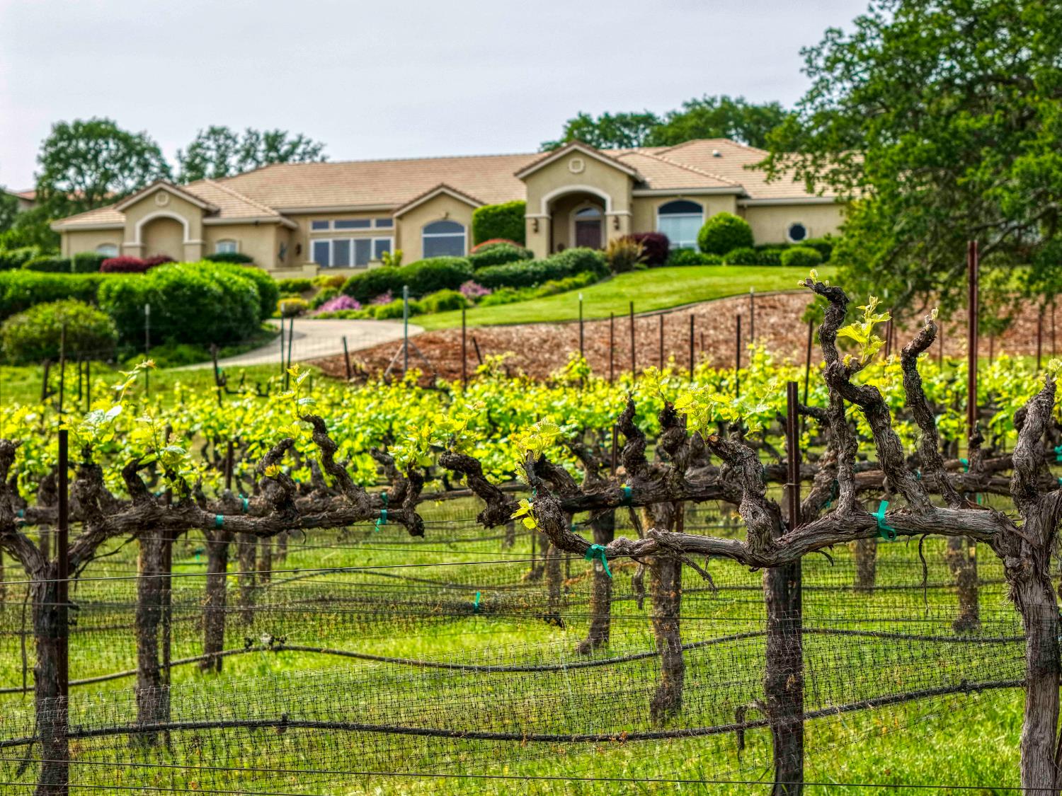 5192 Laird Road Loomis, CA 95650 - Photo 2 of 40