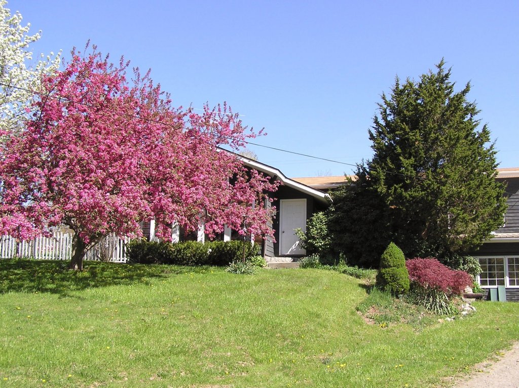 403 Fog Hill Road Austerlitz, NY 12017 - Photo 1 of 11 Primary