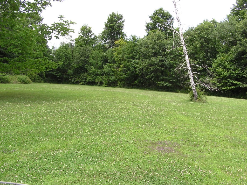 403 Fog Hill Road Austerlitz, NY 12017 - Photo 2 of 11 Open Lawn