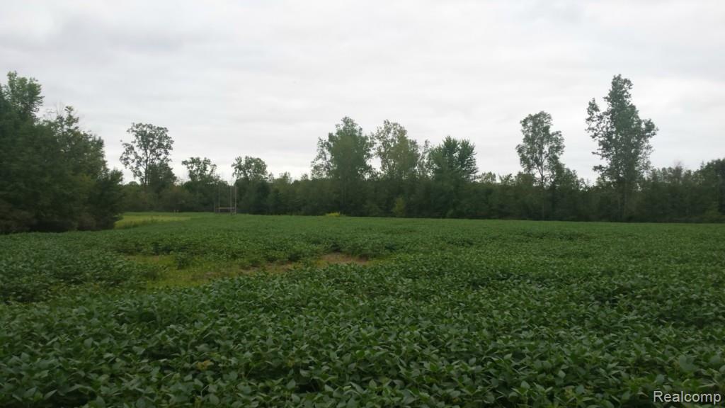 9765 Division Road Casco, MI 48064 - Photo 5 of 11 This is a view of the field.