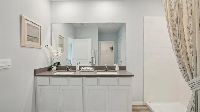 a bathroom with a sink and a mirror