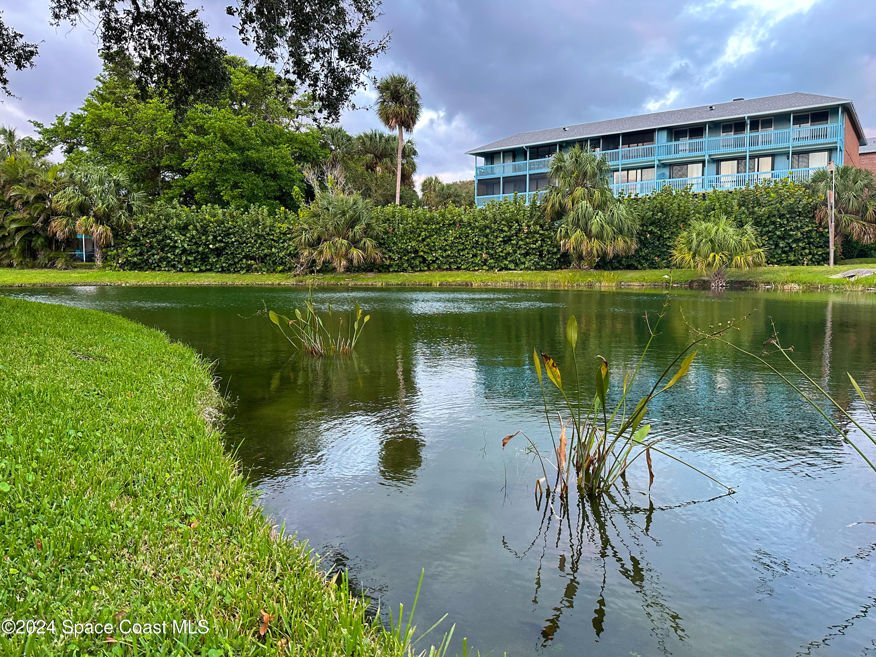 143 Caledonia Drive Melbourne Beach, FL 32951 - Photo 52 of 57 a view of a lake with a yard and a large tree