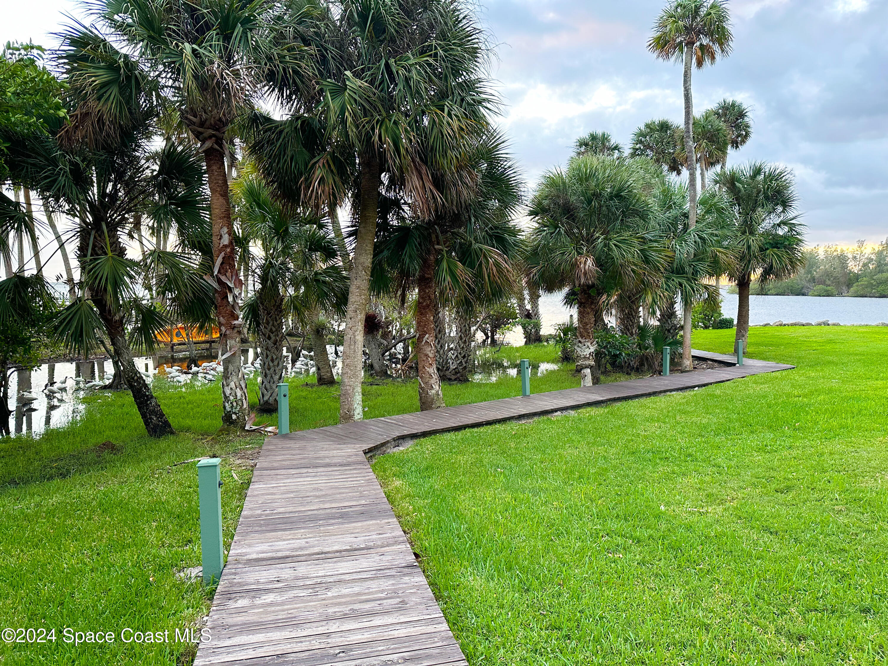 143 Caledonia Drive Melbourne Beach, FL 32951 - Photo 54 of 57 a park with full of palm trees