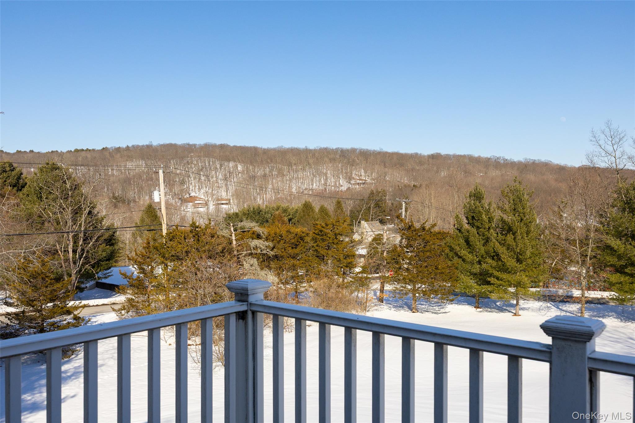 73 Meusel Road Pine Plains, NY 12567 - Photo 13 of 20 View from balcony
