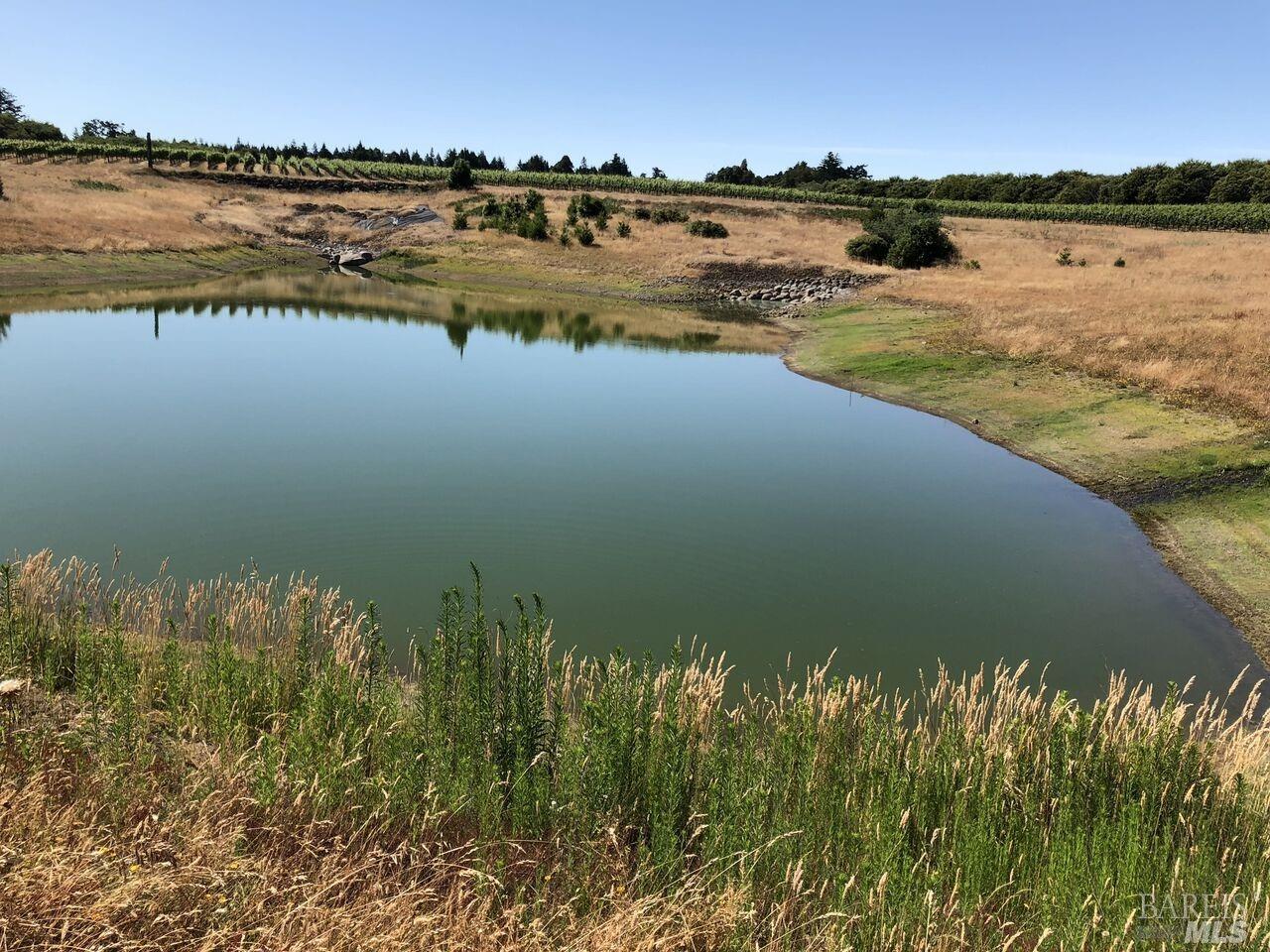 39000 Crispin Road Manchester, CA 95459 - Photo 8 of 40