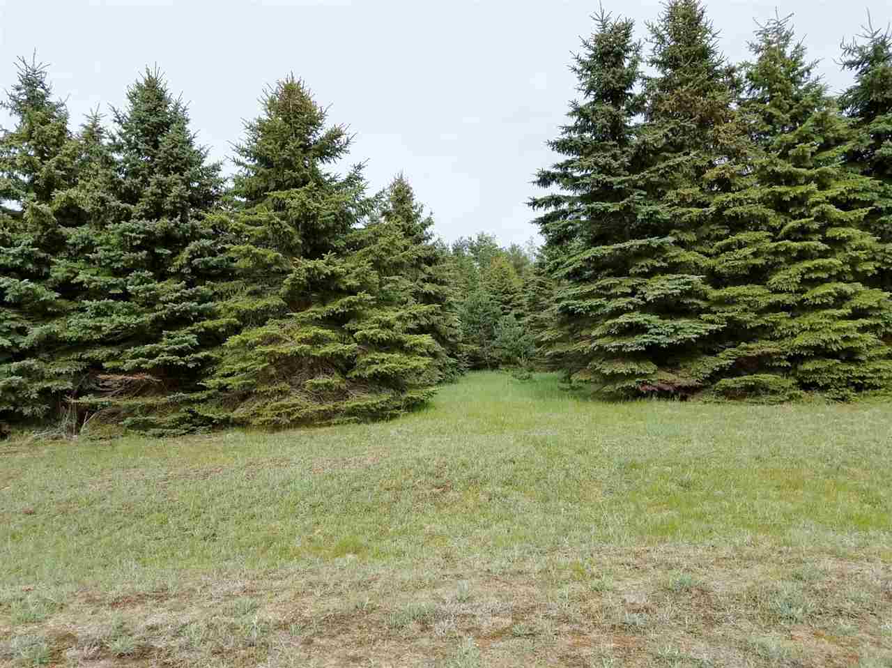 18 Lipp Farm Road, Unit LOT: 18 Benzonia, MI 49616 - Photo 13 of 13