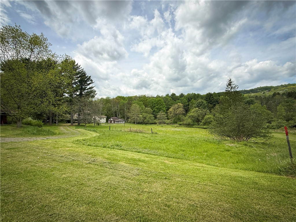 450 Dean Creek Road Spencer, NY 14883 - Photo 39 of 50