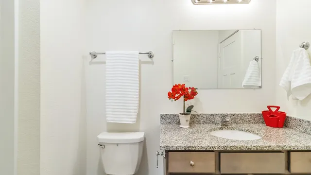 a bathroom with a granite countertop sink and a mirror