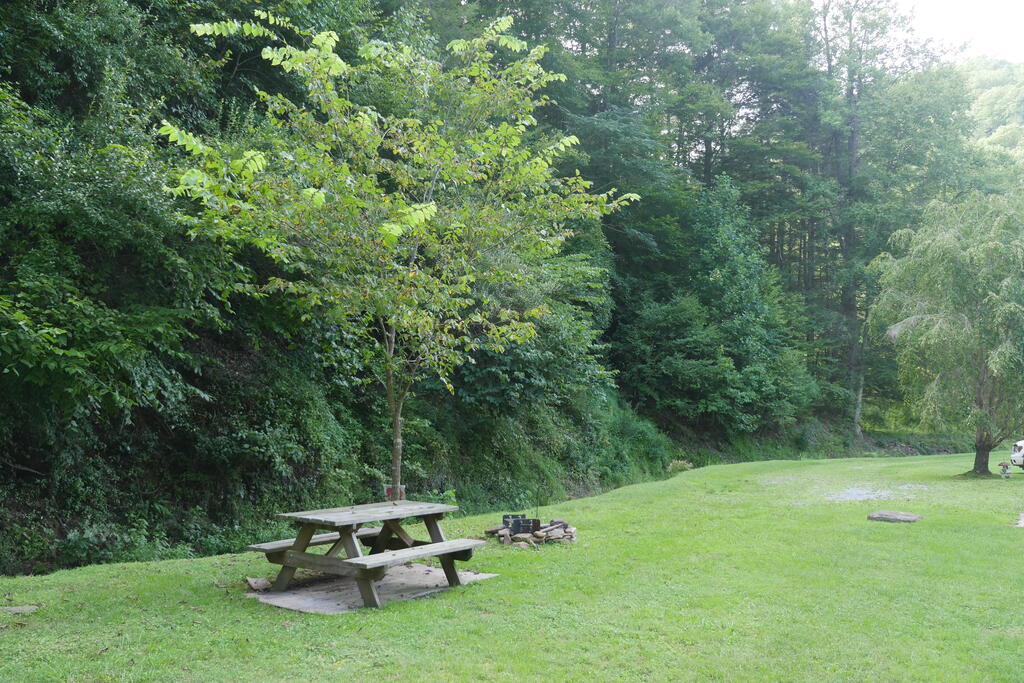 4163 Lick Creek Road Birchleaf, VA 24220 - Photo 36 of 86 Gallery Image 36