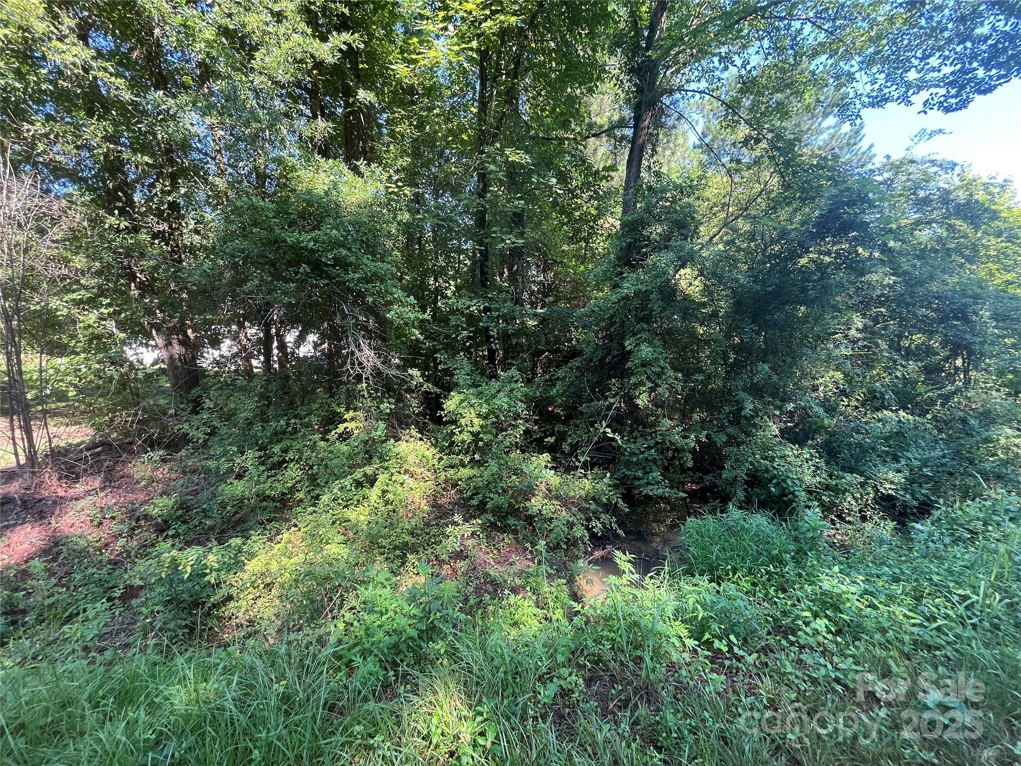 an aerial view of residential house with outdoor space and trees all around
