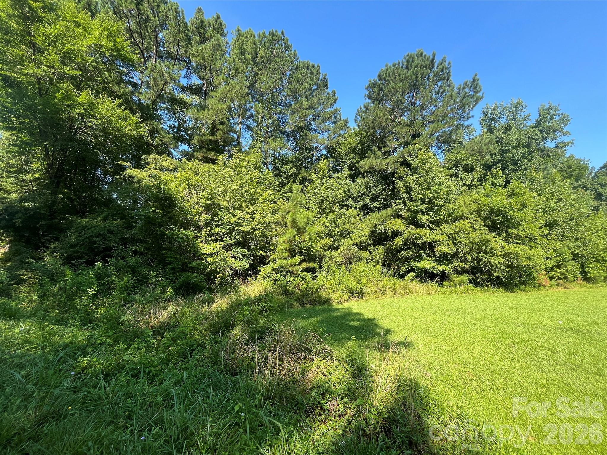 0 Webb Loop Road Mount Gilead, NC 27306 - Photo 7 of 7 a view of a big yard with plants and large trees