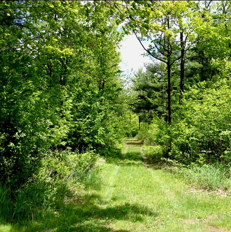 2 Melissa Drive Lewiston, ME 04240 - Photo 2 of 8 Cleared drive in