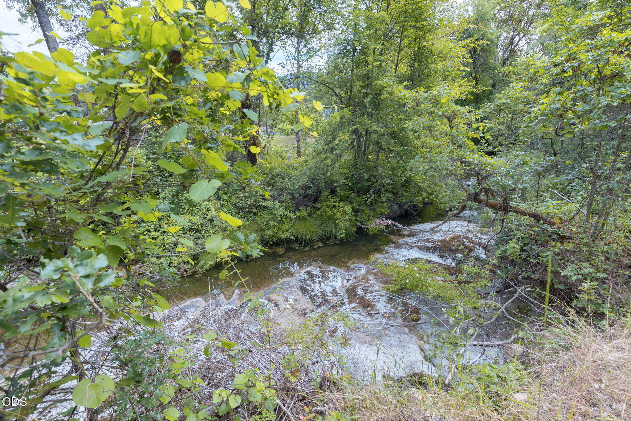 161 Soldier Creek Road Grants Pass, OR 97526 - Photo 64 of 68