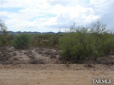 0 North Blue Bonnet Road Tucson, AZ 85742 - Photo 6 of 12