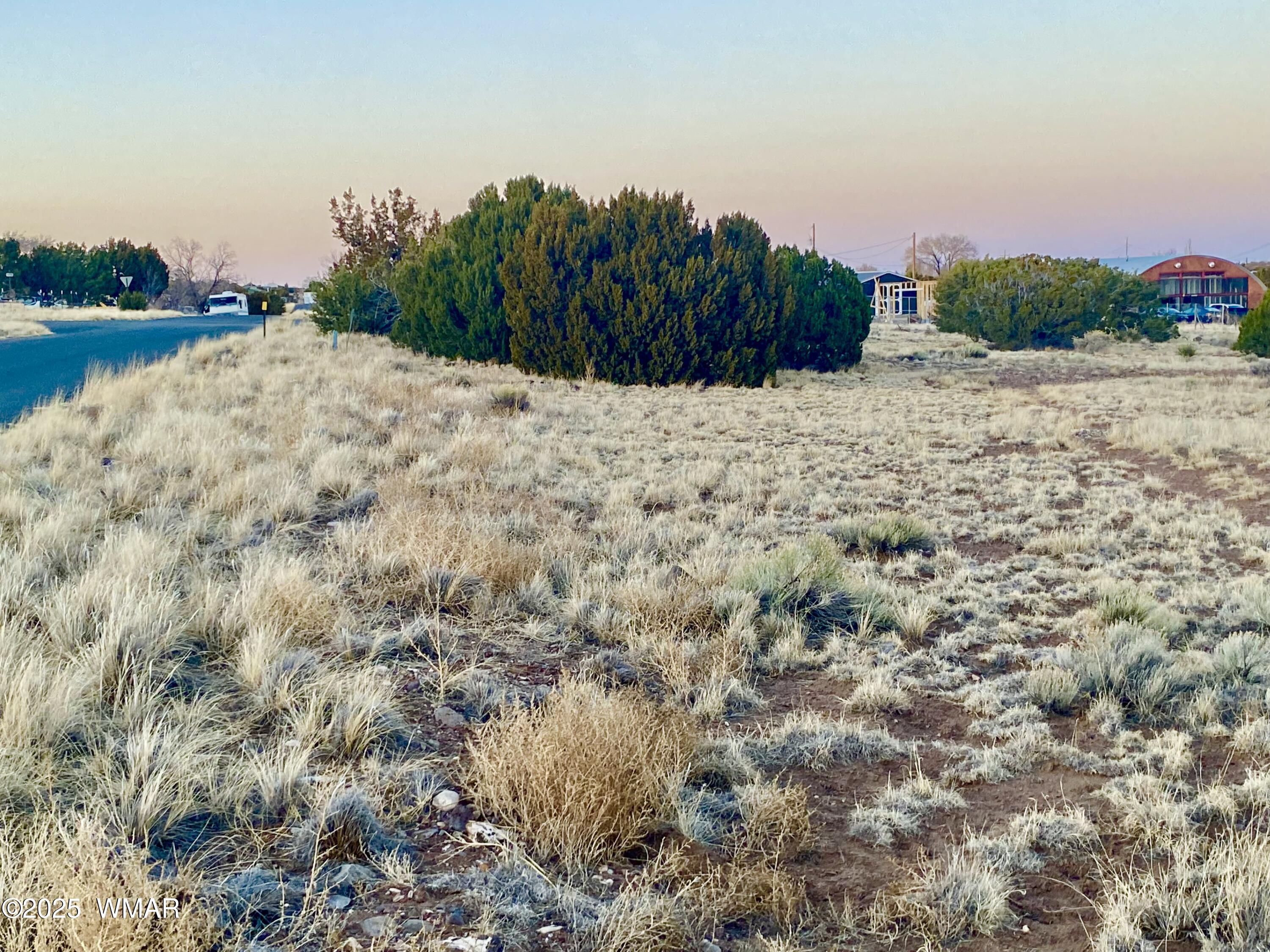 44 Co Road Concho, AZ 85924 - Photo 11 of 13 IMG_9358