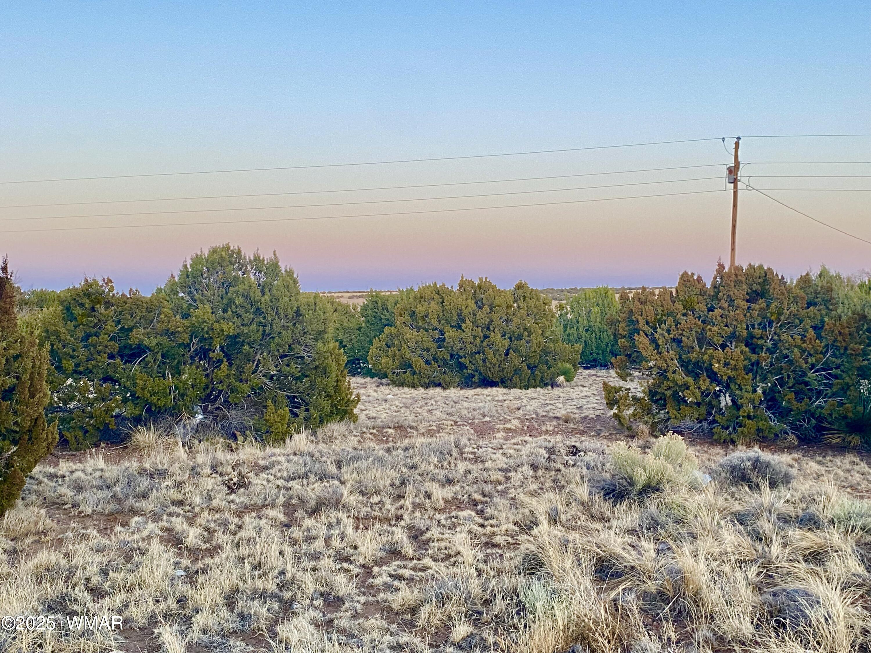 44 Co Road Concho, AZ 85924 - Photo 12 of 13 IMG_9362