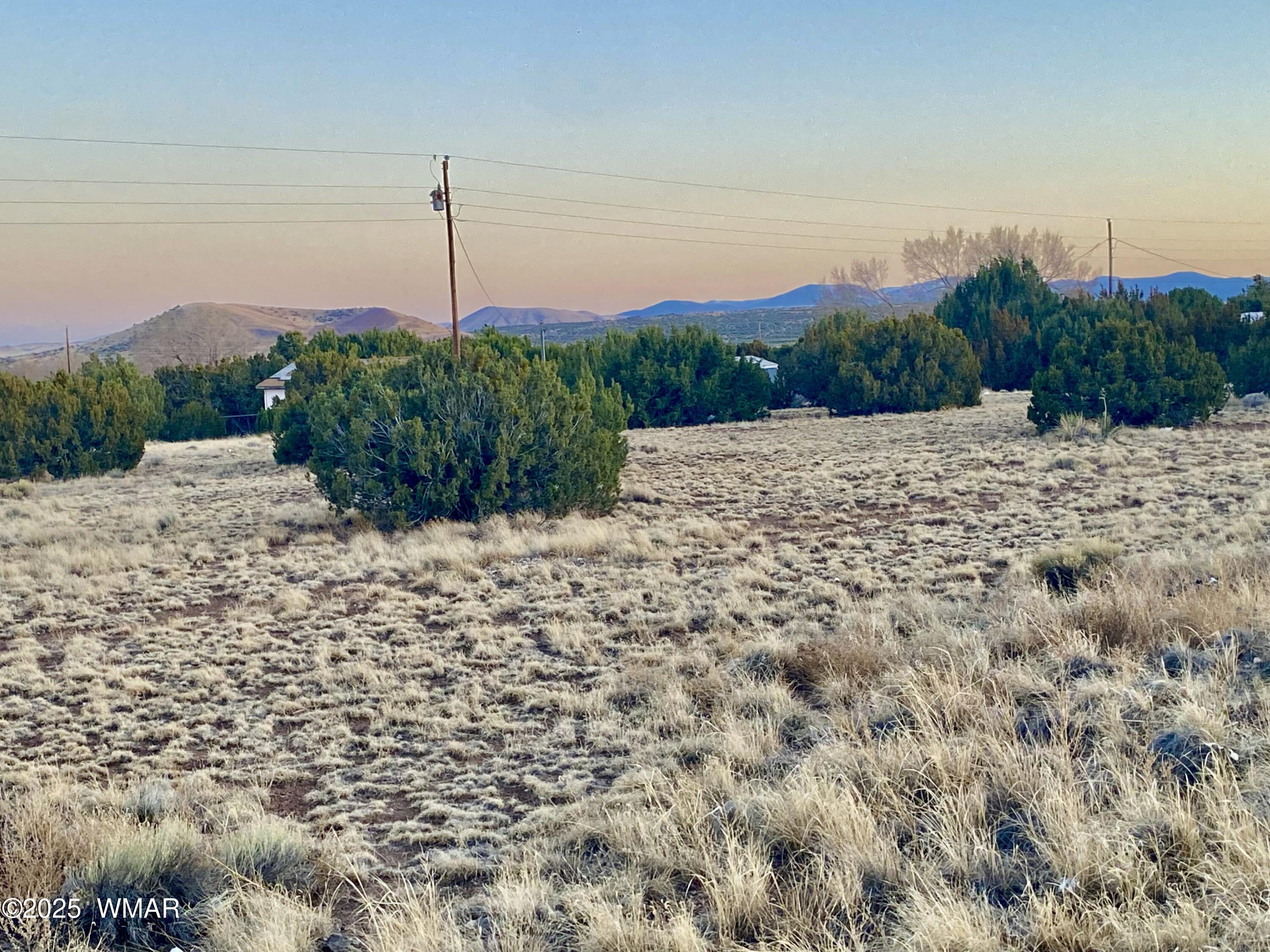 44 Co Road Concho, AZ 85924 - Photo 3 of 13 IMG_9365