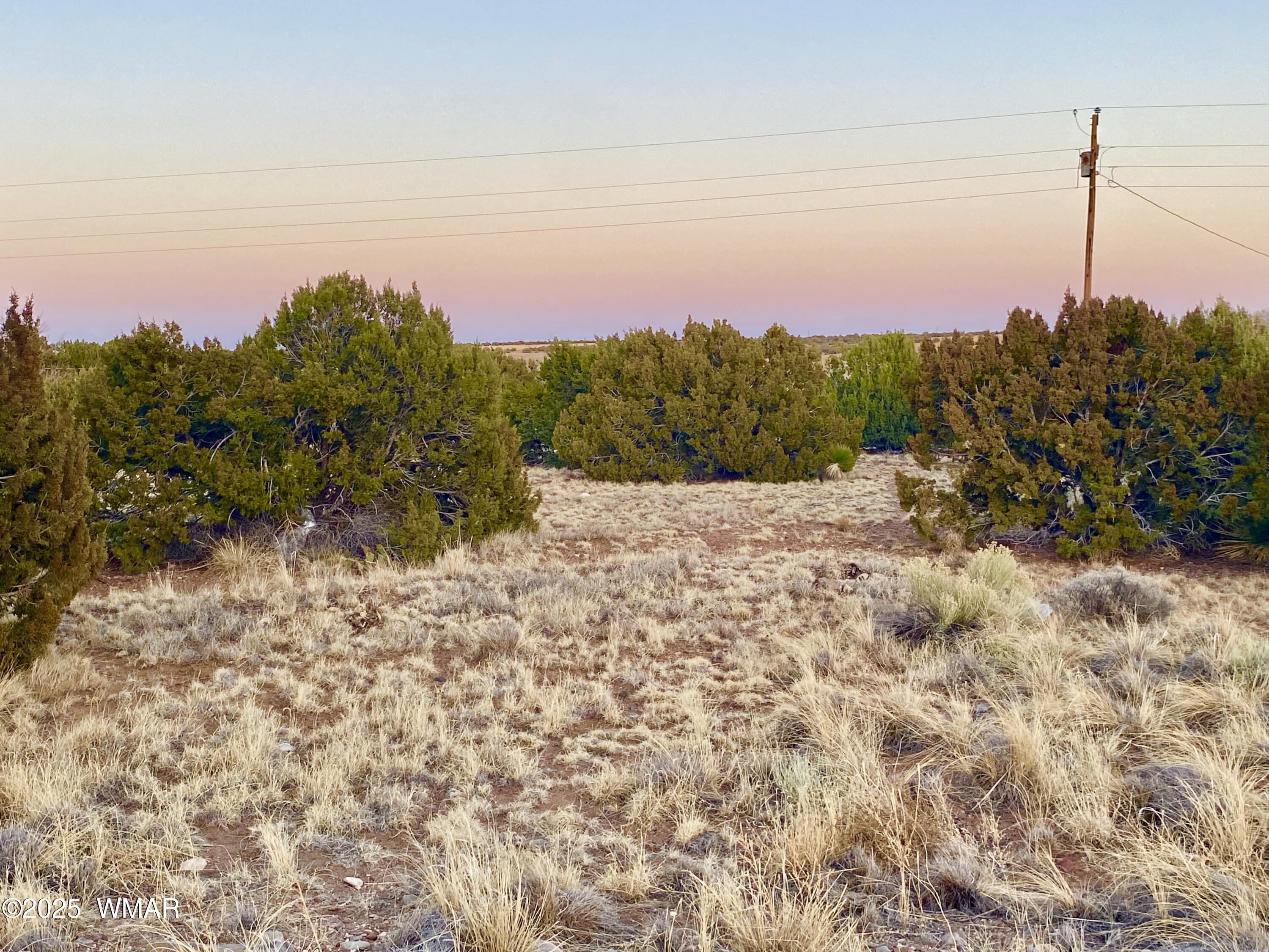 44 Co Road Concho, AZ 85924 - Photo 4 of 13 IMG_9363