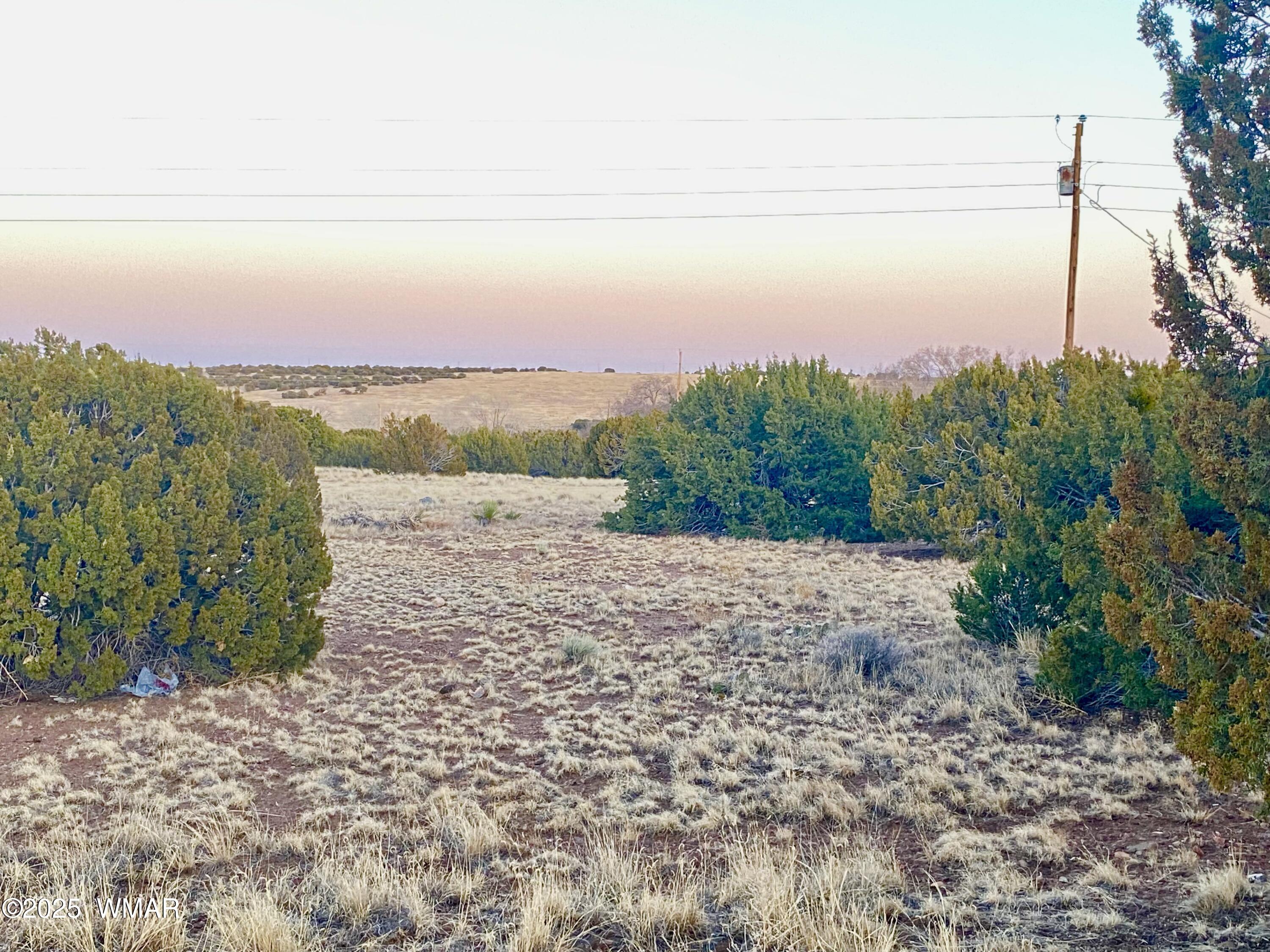 44 Co Road Concho, AZ 85924 - Photo 6 of 13 IMG_9356