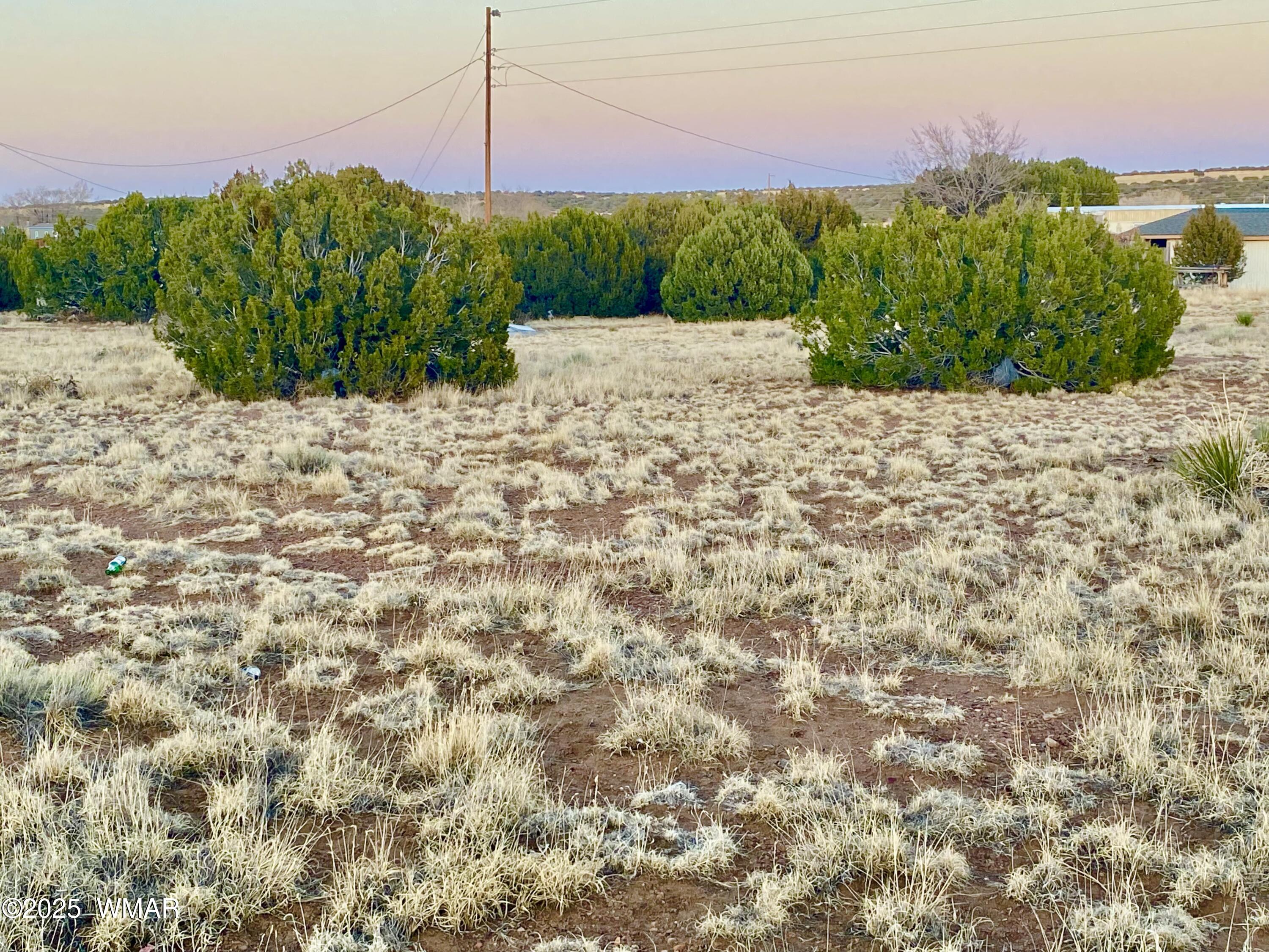 44 Co Road Concho, AZ 85924 - Photo 9 of 13 IMG_9359