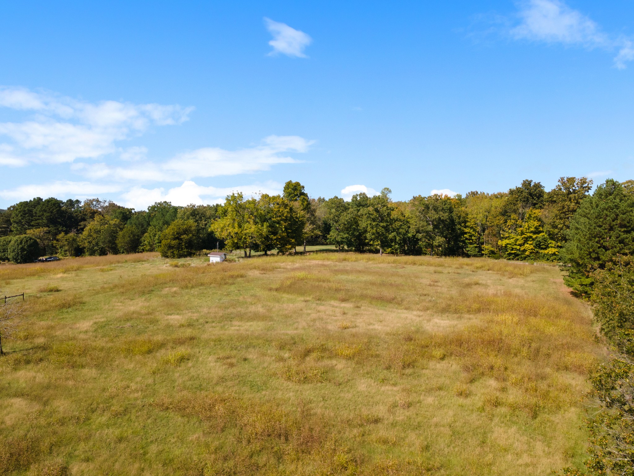 7303 Doug Hill Road Bon Aqua, TN 37025 - Photo 4 of 8 a view of yard with green space