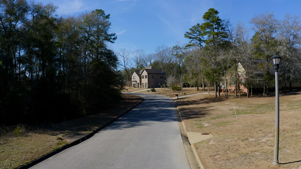 143 Old Village Road Ozark, AL 36360 - Photo 10 of 16
