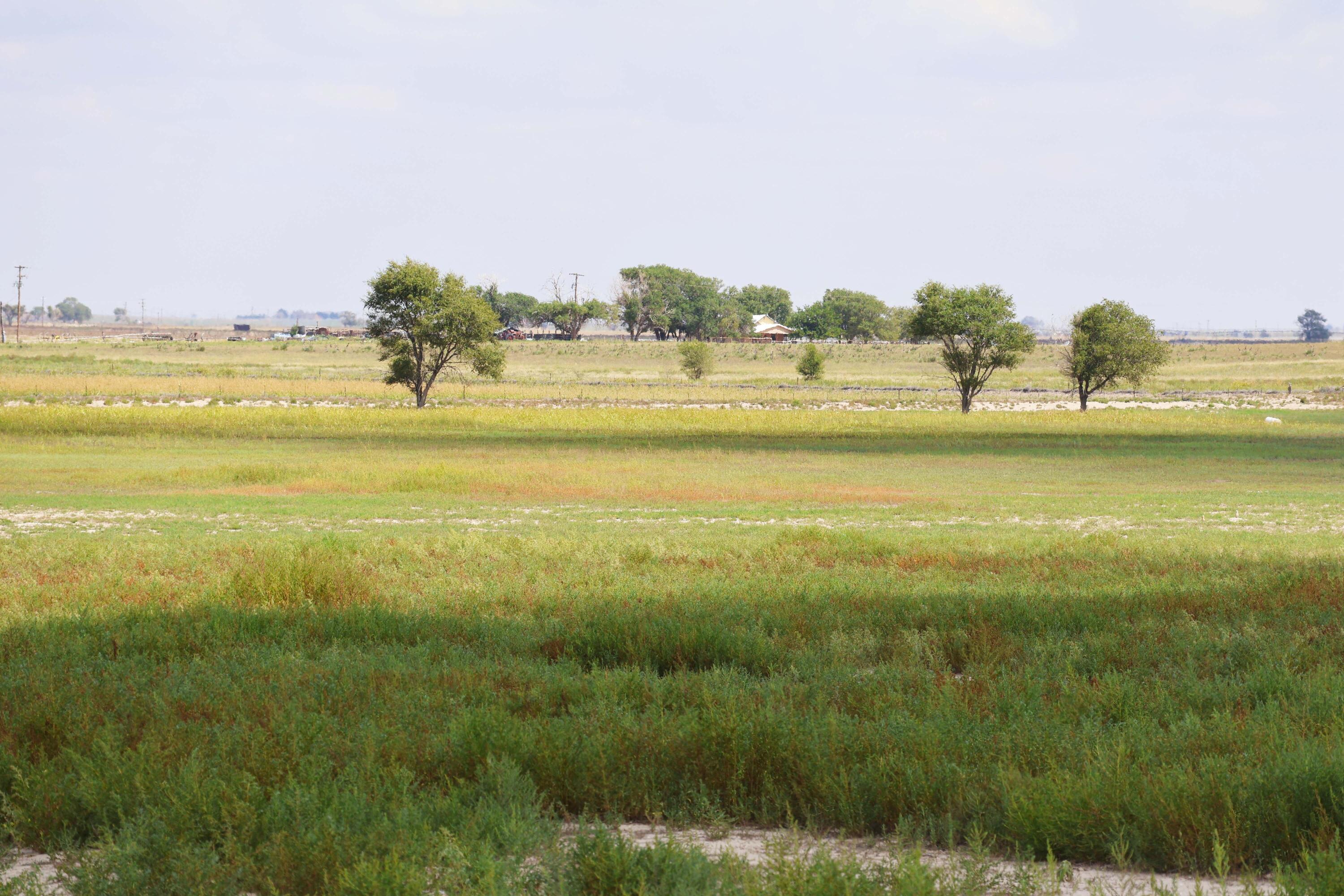 193 County Road West Muleshoe, TX 79347 - Photo 5 of 6 a view of an ocean and beach