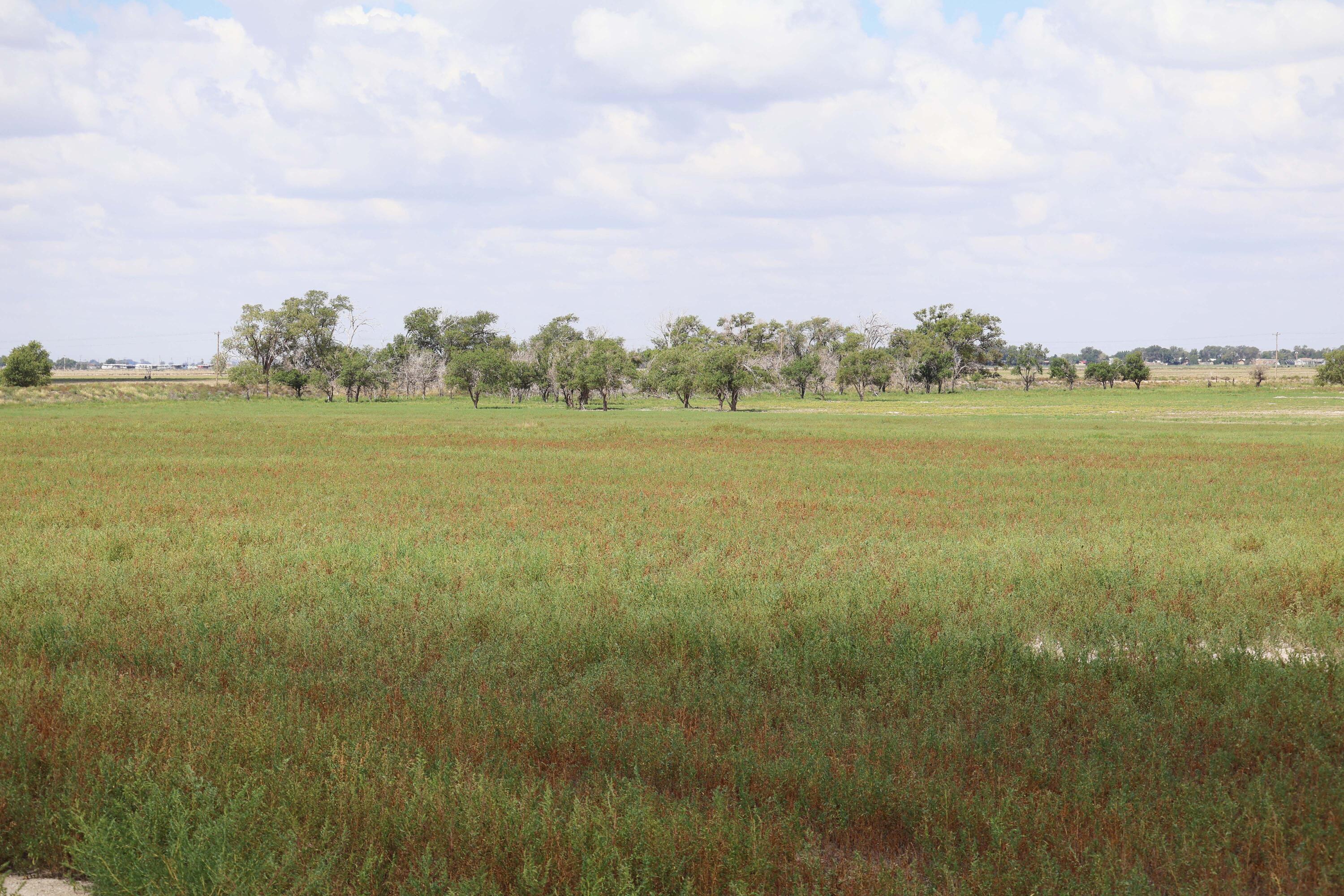 193 County Road West Muleshoe, TX 79347 - Photo 6 of 6 a view of an ocean and beach