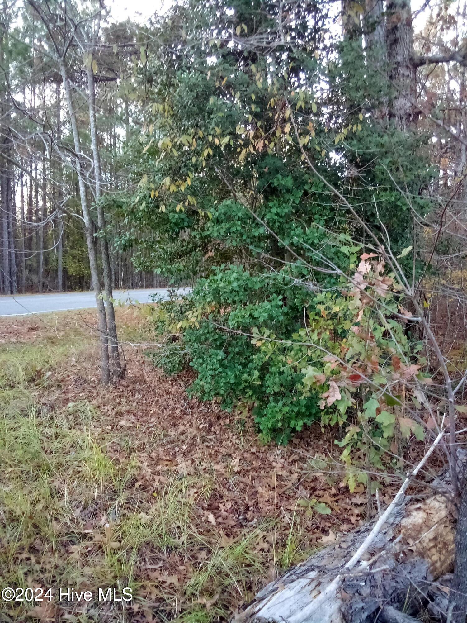 Lot #1 Stelleys Tabernacle Church Road Rockingham, NC 28379 - Photo 2 of 7 IMG_20241118_162109