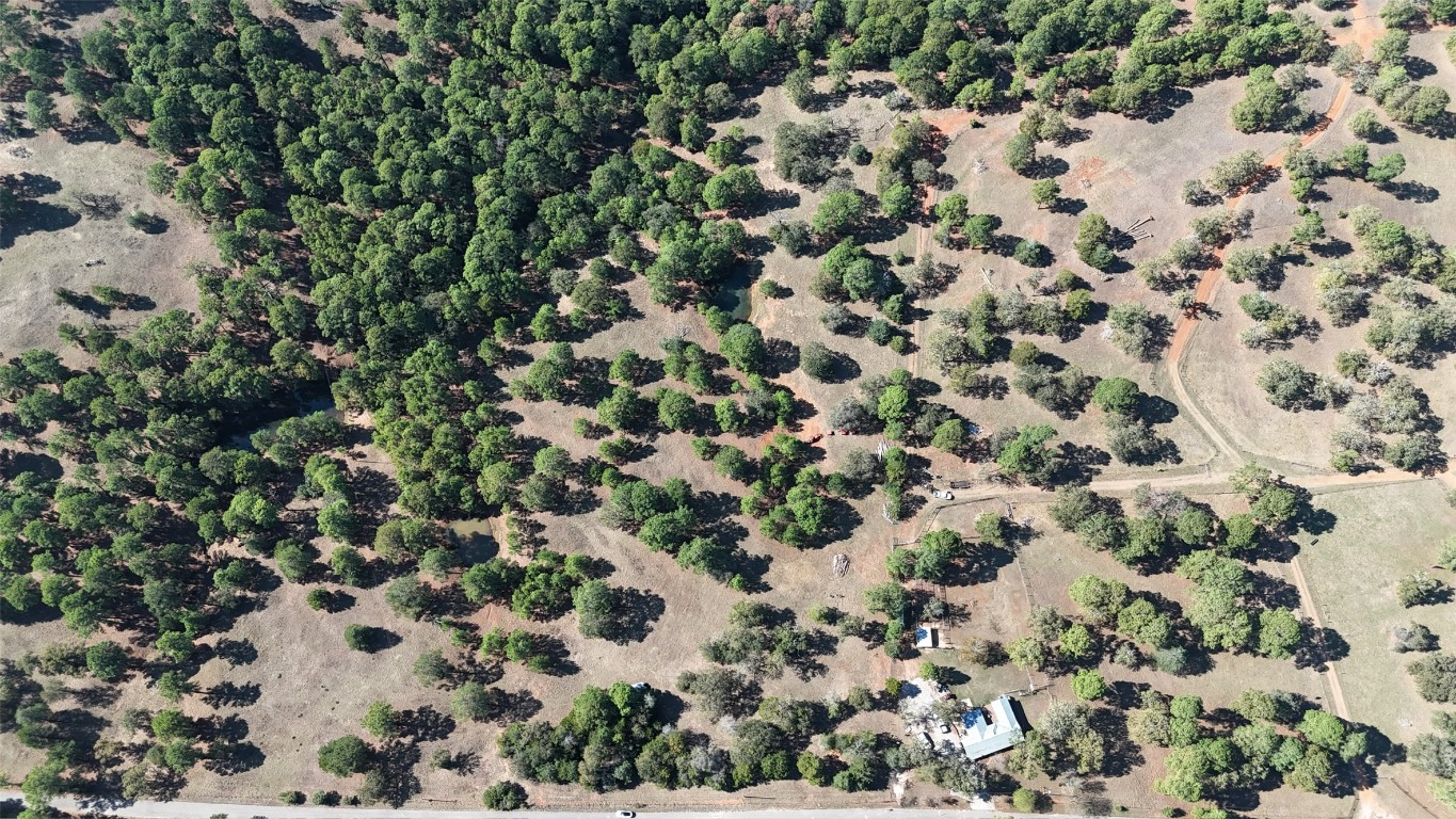 Tbd Copeland Hill Road Smithville, TX 78957 - Photo 3 of 8 a view of a tree with a plant