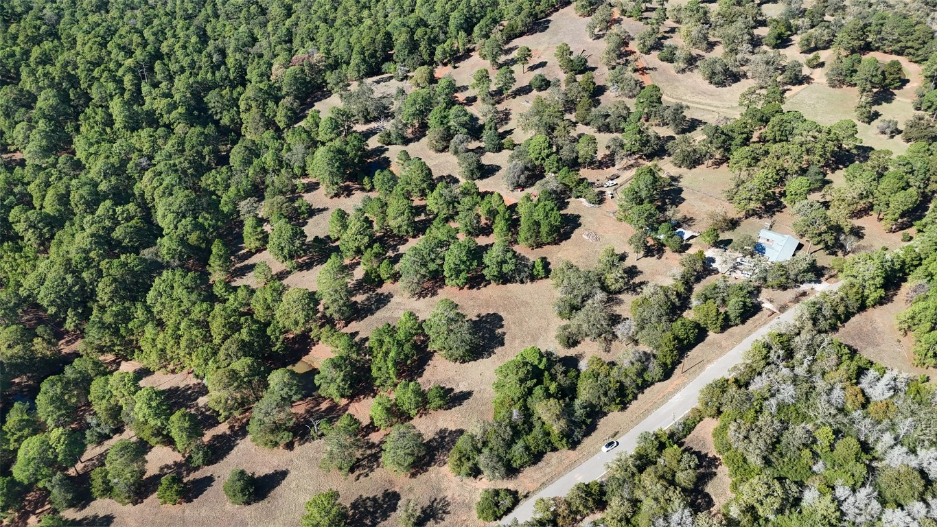 Tbd Copeland Hill Road Smithville, TX 78957 - Photo 4 of 8 a view of a garden with a plant