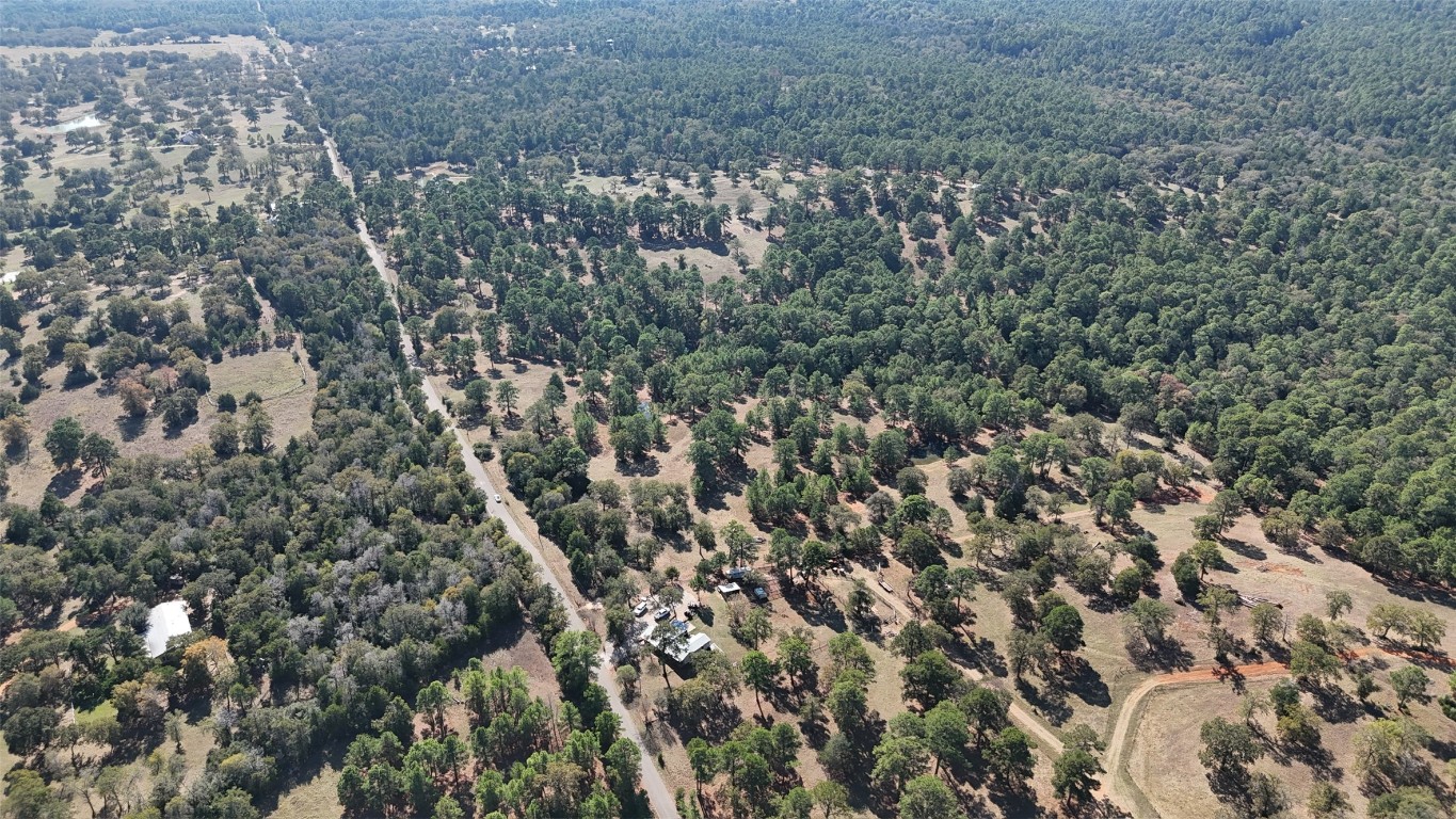 Tbd Copeland Hill Road Smithville, TX 78957 - Photo 6 of 8 a view of a forest that has a tree
