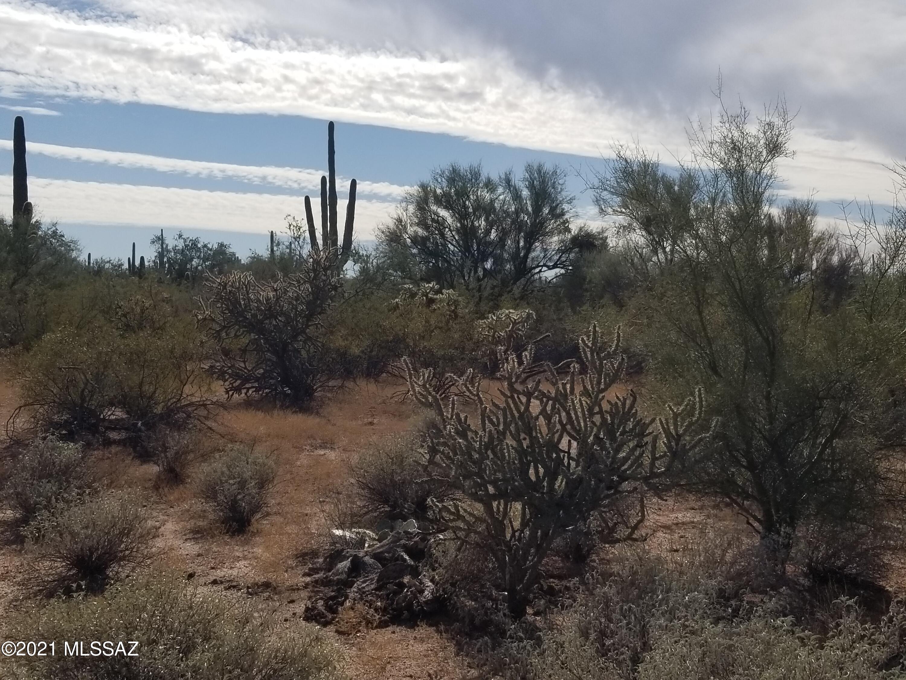 11110 West Rudasill Road, Unit 4 66 AC Tucson, AZ 85743 - Photo 12 of 19