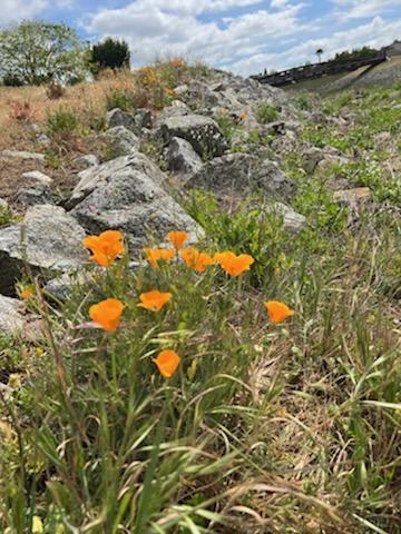 9145 Desiderio Way Gilroy, CA 95020 - Photo 30 of 33 a view of a lake