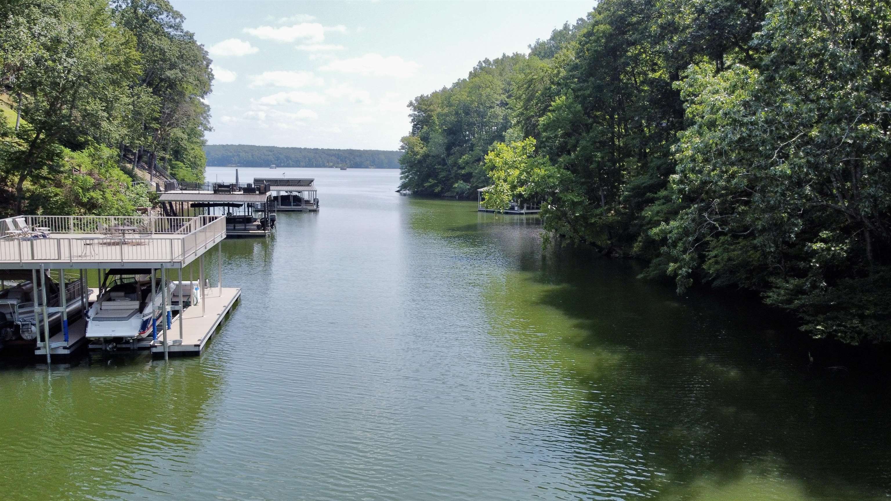 60 Point Grand Bluff Savannah, TN 38372 - Photo 5 of 34 a view of a lake with boats and trees in the background
