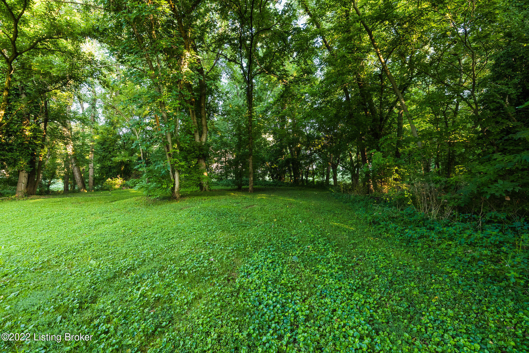 5505 River Road Prospect, KY 40059 - Photo 21 of 73 AY9A6907