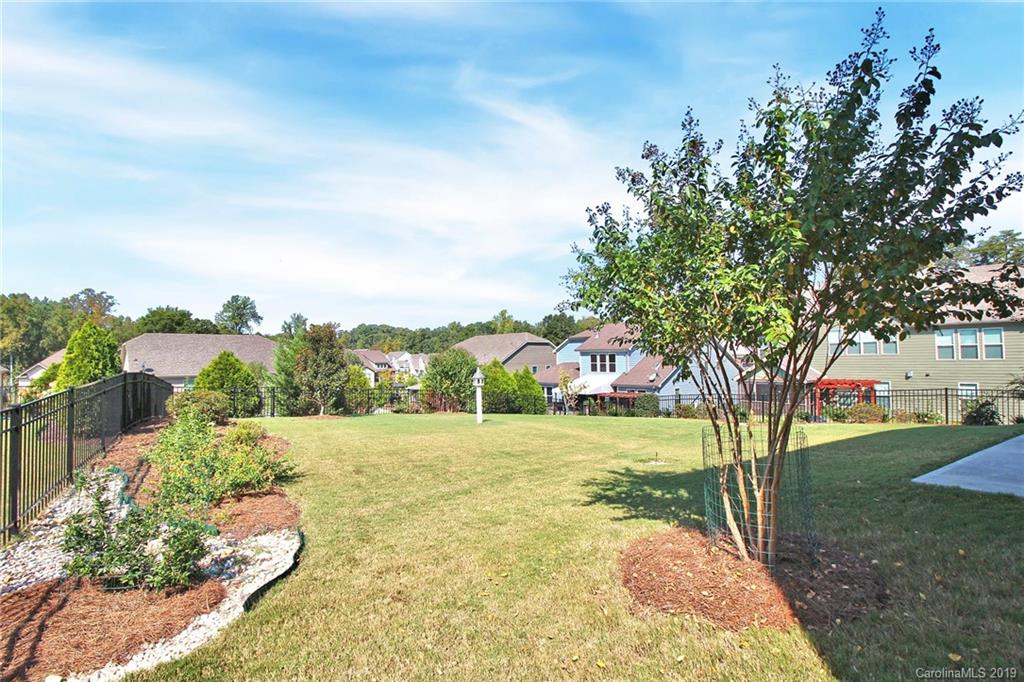 1314 Cilantro Court Tega Cay, SC 29708 - Photo 48 of 48 a view of a yard with plants and large trees