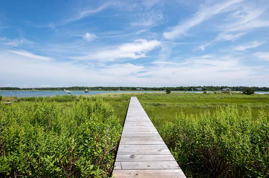 36 Down Harbor Road Edgartown, MA 02539 - Photo 50 of 54 a view of swimming pool with a large trees in the background